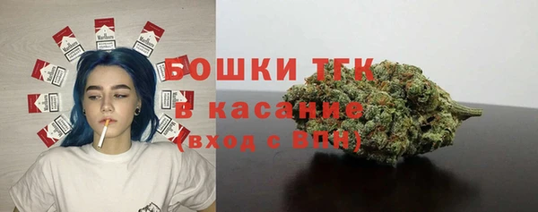 крисы Дмитровск
