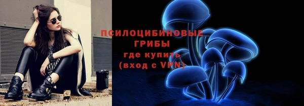 а пвп мука Дмитриев