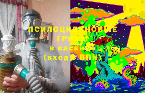 а пвп мука Дмитриев