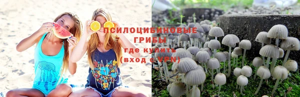 а пвп мука Дмитриев