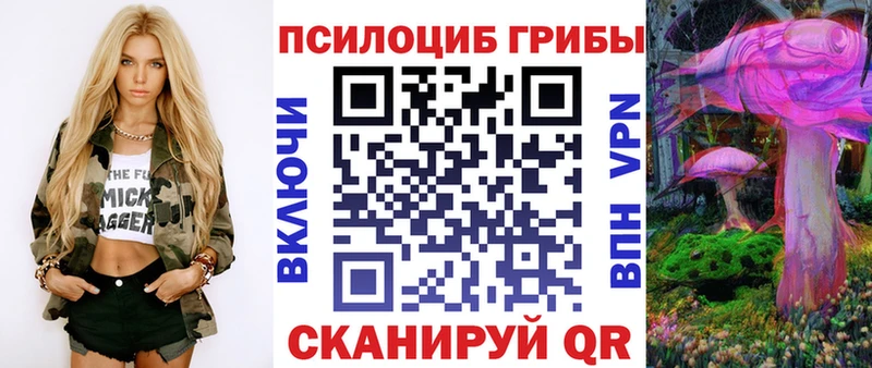 OMG рабочий сайт  это клад  Галлюциногенные грибы прущие грибы  Пересвет 